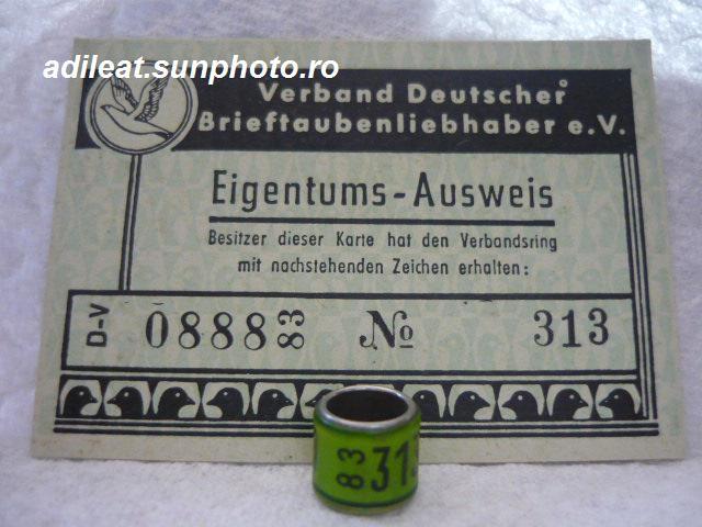 DV-1983 - GERMANIA-DV-ring collection