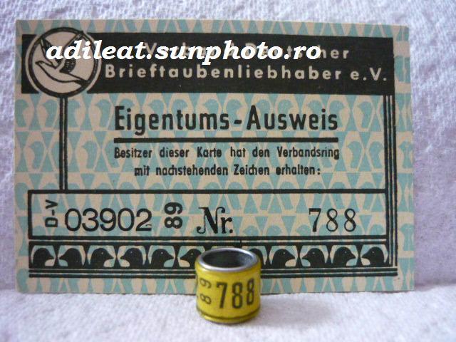 DV-1989 - GERMANIA-DV-ring collection