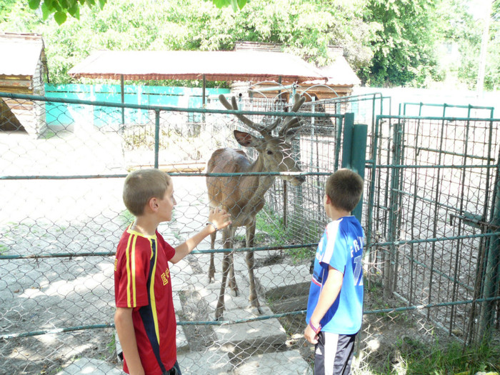 P1180497 - 2010 - Excursie 12-13 iunie