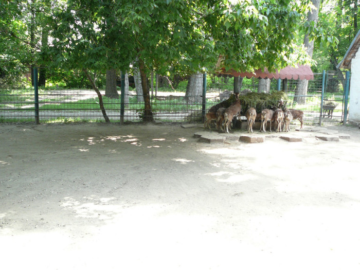 P1180519