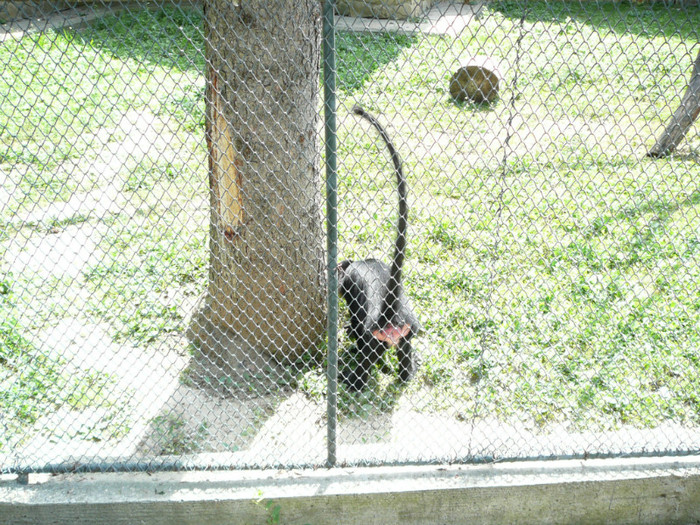 P1180540