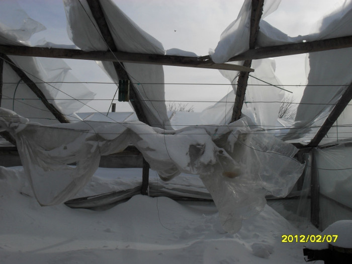 SDC12019 - solar 2012