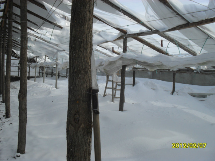 SDC12021 - solar 2012