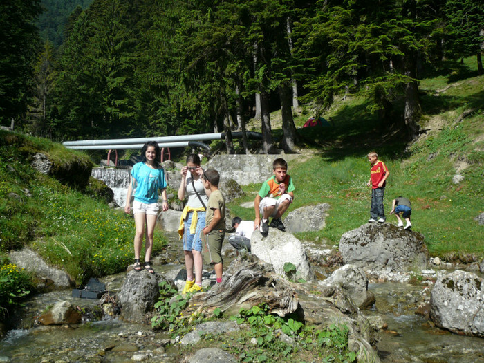 P1180726 - 2010 - Excursie 12-13 iunie