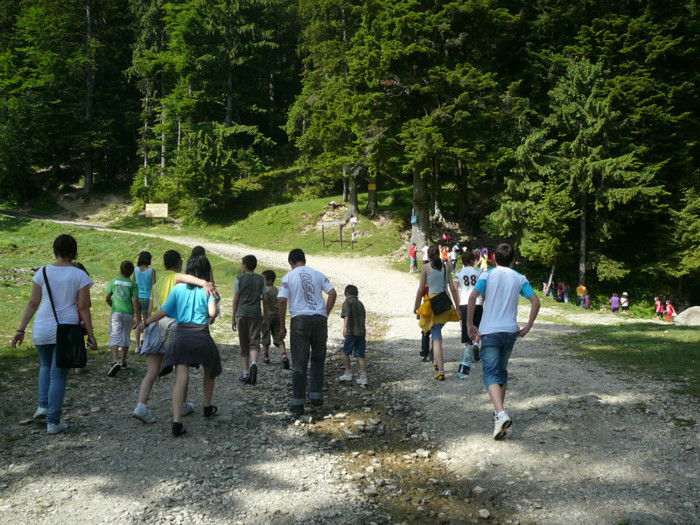 P1180745 - 2010 - Excursie 12-13 iunie