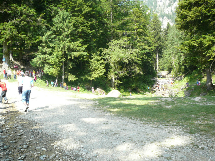 P1180746 - 2010 - Excursie 12-13 iunie