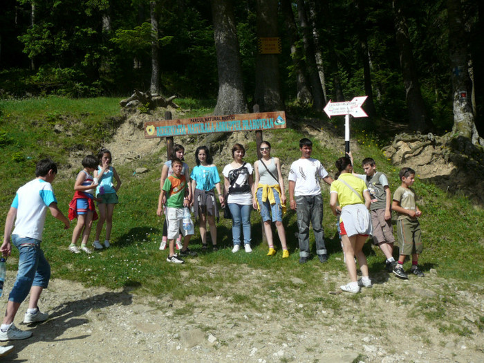 P1180749 - 2010 - Excursie 12-13 iunie