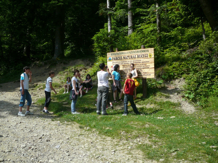 P1180755 - 2010 - Excursie 12-13 iunie
