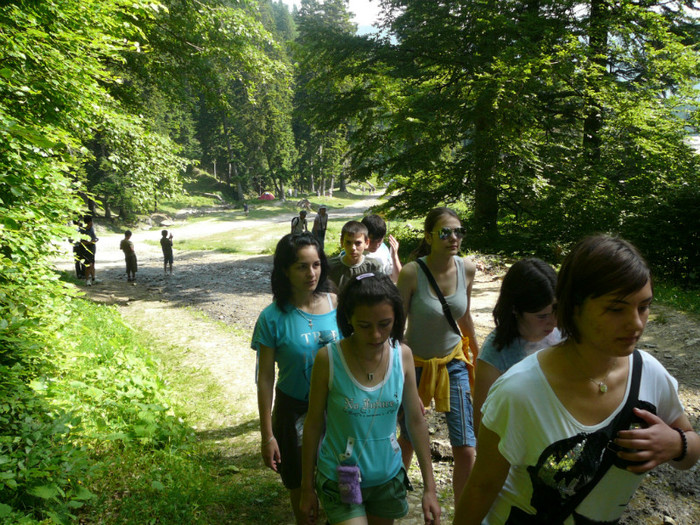 P1180760 - 2010 - Excursie 12-13 iunie