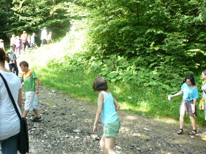 P1180761 - 2010 - Excursie 12-13 iunie