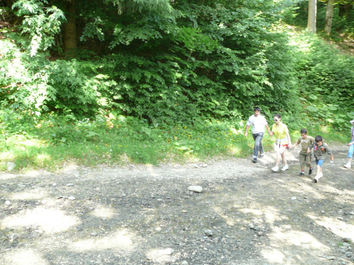 P1180762 - 2010 - Excursie 12-13 iunie