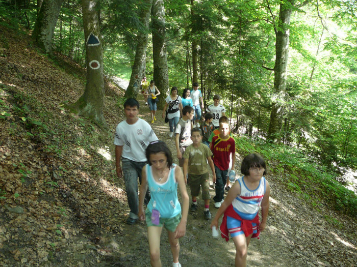 P1180770 - 2010 - Excursie 12-13 iunie