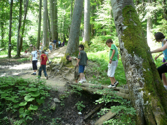 P1180775 - 2010 - Excursie 12-13 iunie