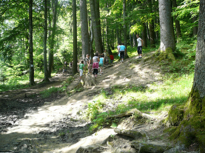 P1180777 - 2010 - Excursie 12-13 iunie