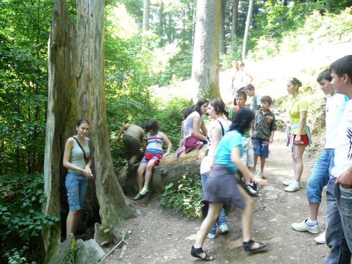 P1180785 - 2010 - Excursie 12-13 iunie