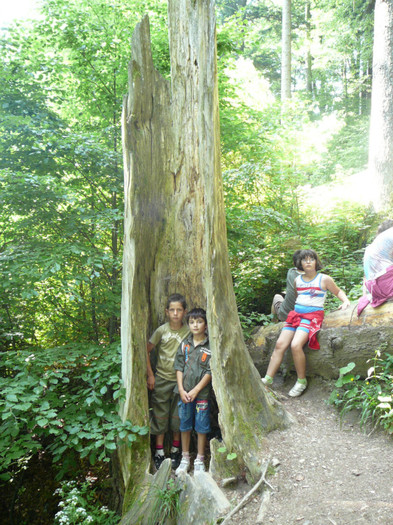 P1180788 - 2010 - Excursie 12-13 iunie