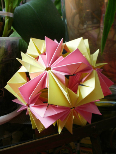P5030611_resize - origami