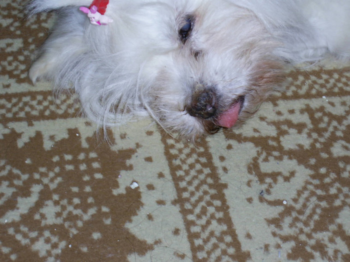 s-a "dus"...; my lucky boy(norocel)
