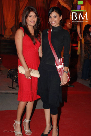 jodhaa-akbar-movie-premiere__17706 - Anjali Gupta