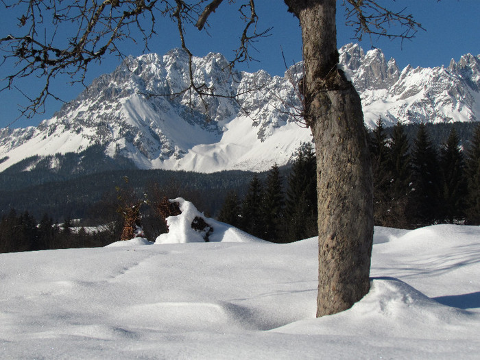IMG_5237 - Iarna in Austria-Tirol