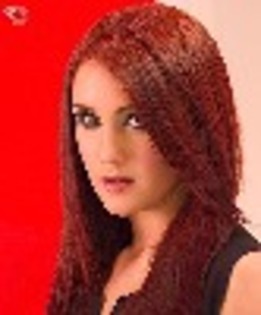 thumb-rbd-212446