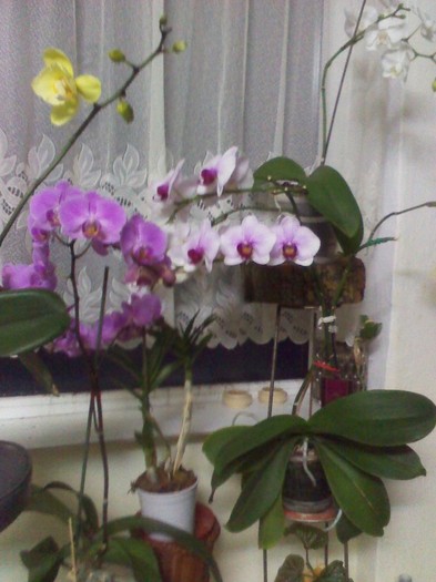 va ajung...7.02.2012