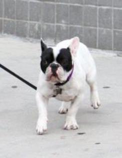 378887_277345762311153_197138670331863_774808_1535237521_a - Sara Maldonado