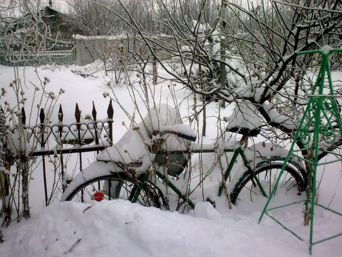 Image4091 - iarna in sat
