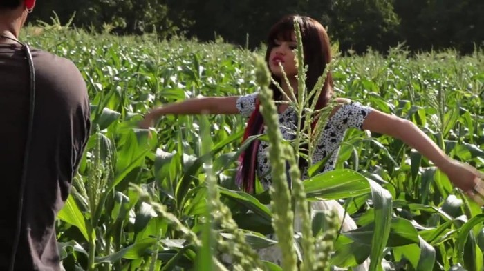 Hit The Lights Behind The Scenes 331 - Hit The Lights Behind The Scenes