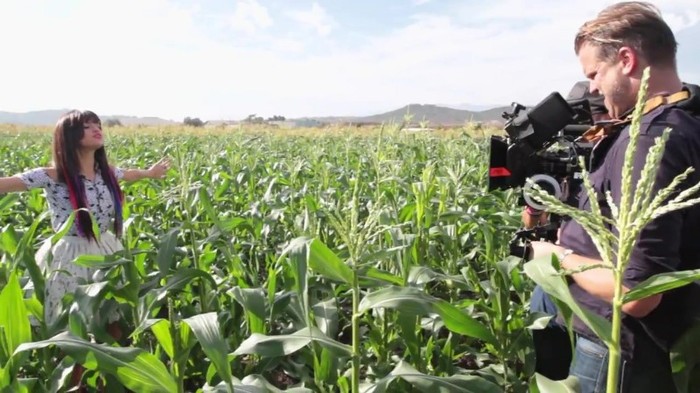 Hit The Lights Behind The Scenes 333 - Hit The Lights Behind The Scenes