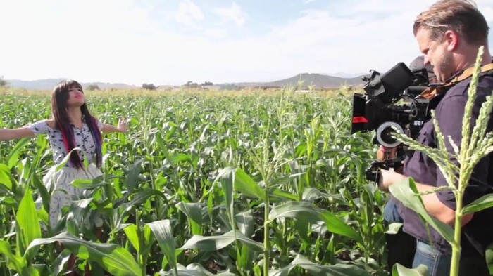 Hit The Lights Behind The Scenes 334 - Hit The Lights Behind The Scenes