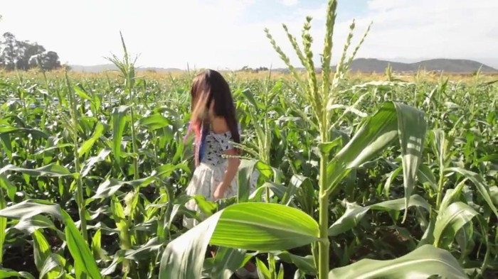 Hit The Lights Behind The Scenes 336 - Hit The Lights Behind The Scenes