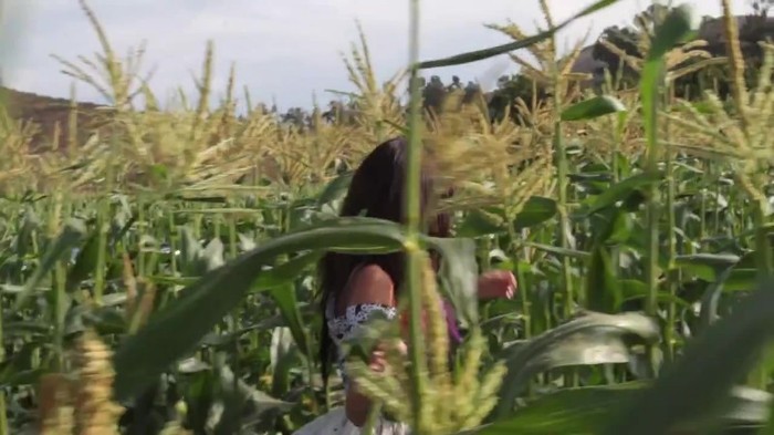 Hit The Lights Behind The Scenes 338 - Hit The Lights Behind The Scenes