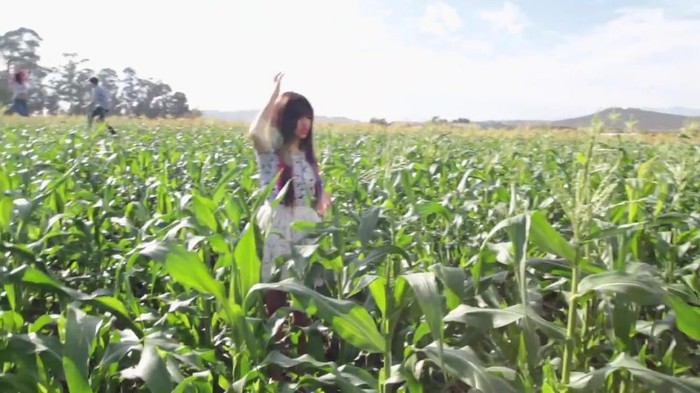 Hit The Lights Behind The Scenes 340 - Hit The Lights Behind The Scenes