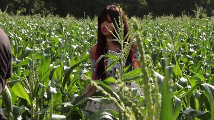 Hit The Lights Behind The Scenes 341 - Hit The Lights Behind The Scenes