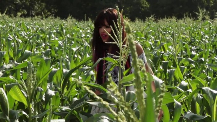 Hit The Lights Behind The Scenes 342 - Hit The Lights Behind The Scenes