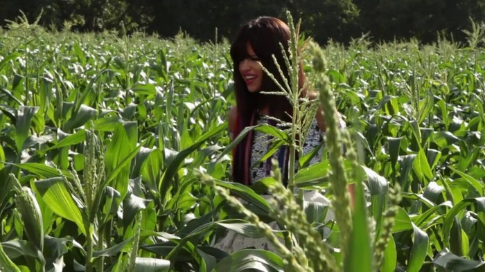 Hit The Lights Behind The Scenes 348 - Hit The Lights Behind The Scenes