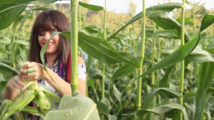 Hit The Lights Behind The Scenes 351 - Hit The Lights Behind The Scenes