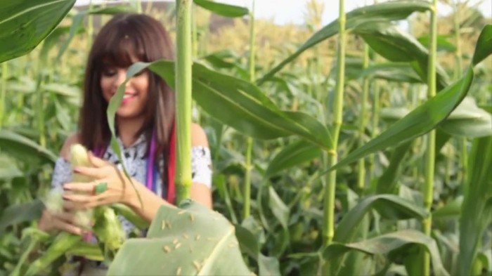 Hit The Lights Behind The Scenes 352 - Hit The Lights Behind The Scenes