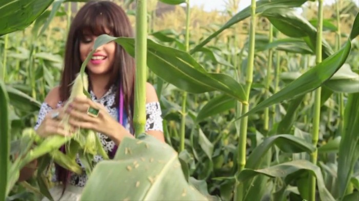 Hit The Lights Behind The Scenes 353 - Hit The Lights Behind The Scenes