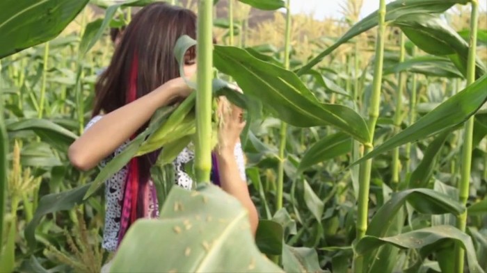 Hit The Lights Behind The Scenes 358 - Hit The Lights Behind The Scenes