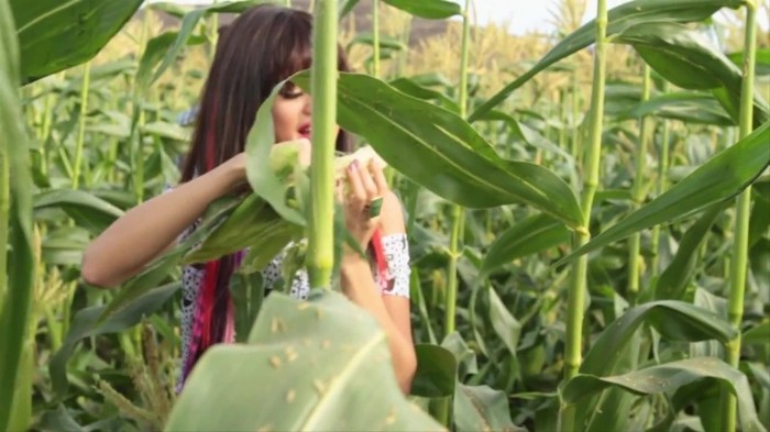 Hit The Lights Behind The Scenes 359 - Hit The Lights Behind The Scenes