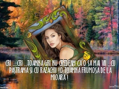  - 10  TOAMNA