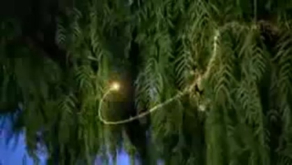 Selena Gomez Fly To Your Heart 021