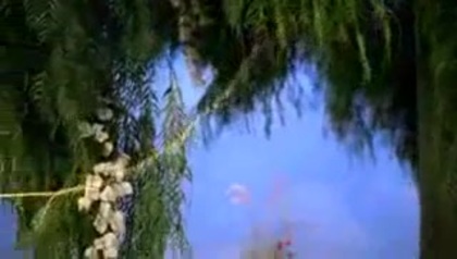 Selena Gomez Fly To Your Heart 027 - Tinkerbell Disney Fairies Selena Gomez Fly To Your Heart