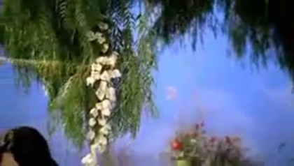 Selena Gomez Fly To Your Heart 029 - Tinkerbell Disney Fairies Selena Gomez Fly To Your Heart