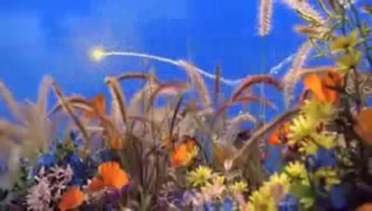 Selena Gomez Fly To Your Heart 161 - Tinkerbell Disney Fairies Selena Gomez Fly To Your Heart