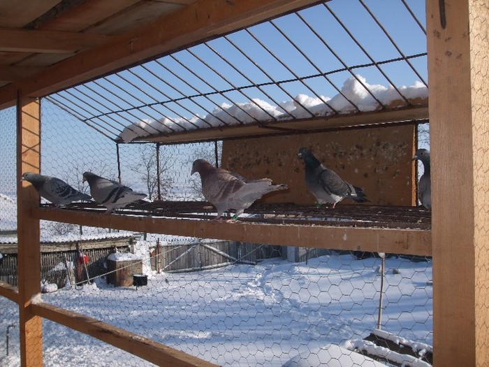  - poze 2012 eu si prietena pe sfarsit porumbei