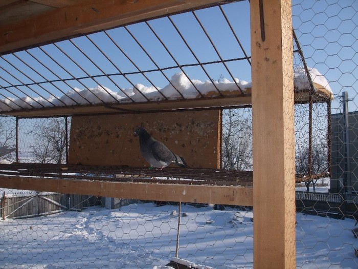  - poze 2012 eu si prietena pe sfarsit porumbei