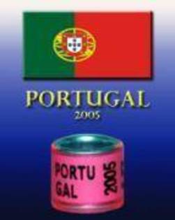 Copy (3) of Copy of Copy of AWJWSLUWQLUCRWOWIJA